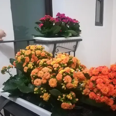 Il Re فندق مبيت وإفطار