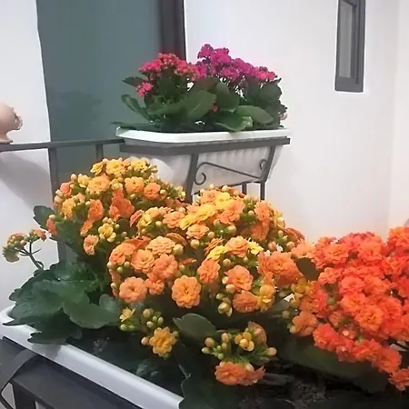 Il Re فندق مبيت وإفطار 3*
